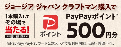 PayPayポイント500円分当たる